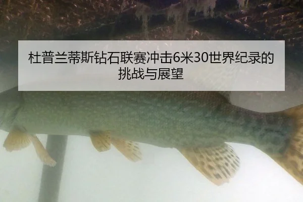 du-pu-lan-di-si-zuan-shi-lian-sai-chong-ji-mi-shi-jie-ji-lu-de-tiao-zhan-yu-zhan-wang-3-897.jpg