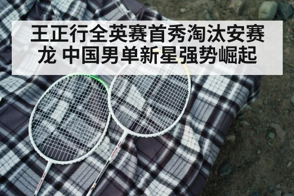 badminton racket closeup
