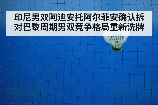 badminton net play